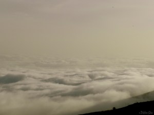 Parque Nacional de Garajonay